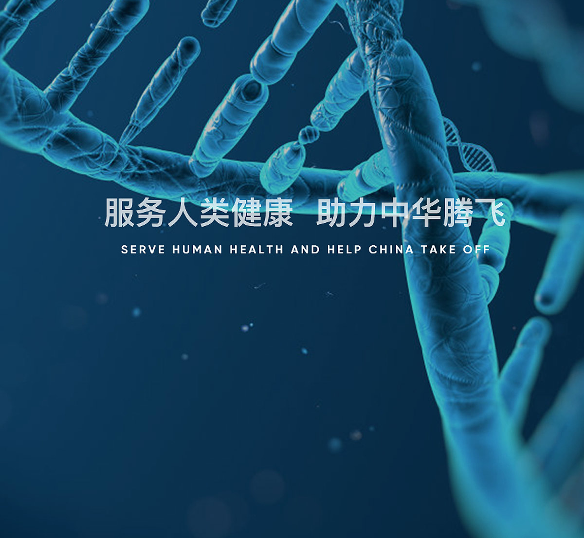 重庆铂而斐细胞生物